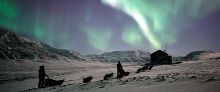 Dogsleds in the Arctic